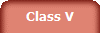 Class V